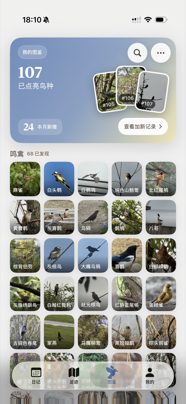 个人图鉴界面